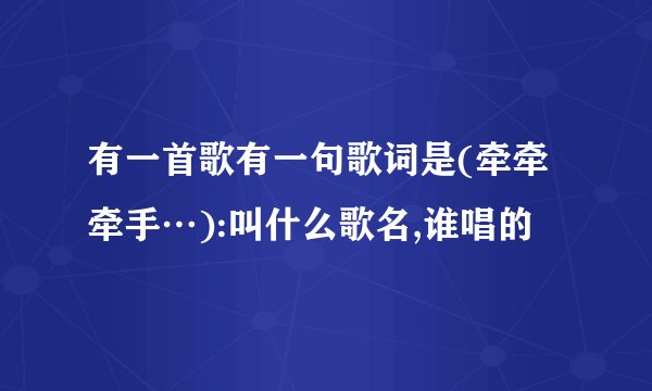 有一首歌有一句歌词是(牵牵牵手…):叫什么歌名,谁唱的