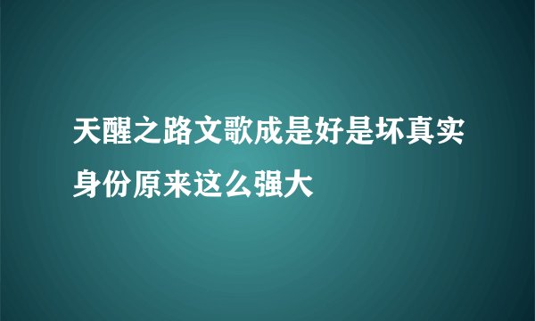 天醒之路文歌成是好是坏真实身份原来这么强大