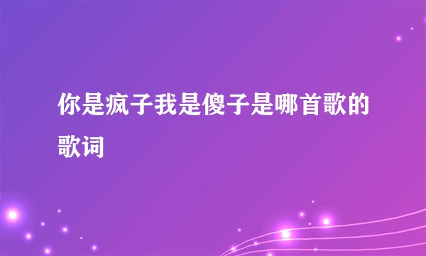 你是疯子我是傻子是哪首歌的歌词