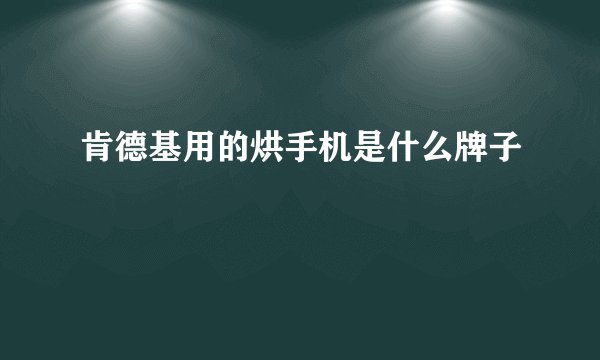 肯德基用的烘手机是什么牌子