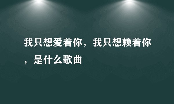 我只想爱着你，我只想赖着你，是什么歌曲