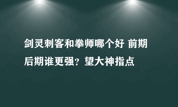 剑灵刺客和拳师哪个好 前期后期谁更强?望大神指点
