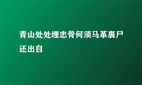 青山处处埋忠骨何须马革裹尸还出自