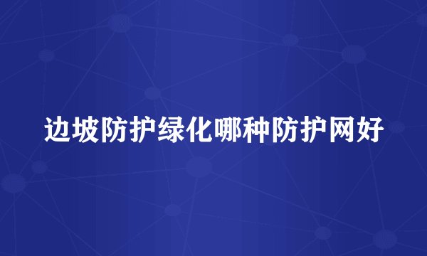 边坡防护绿化哪种防护网好