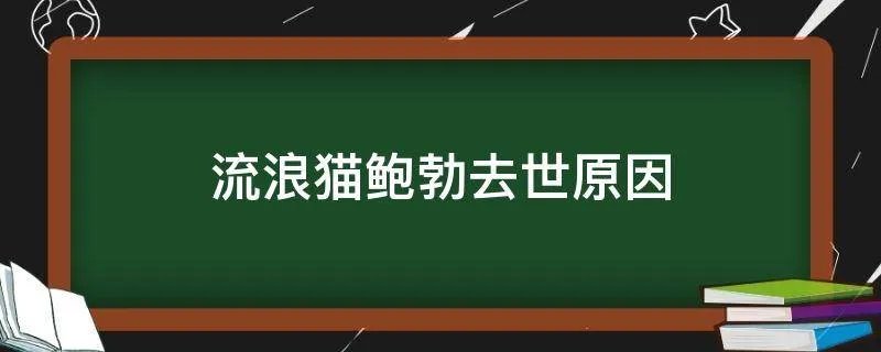 流浪猫鲍勃去世原因
