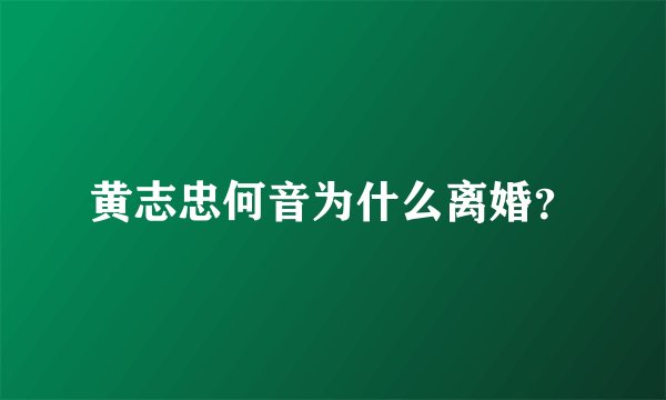 黄志忠何音为什么离婚？