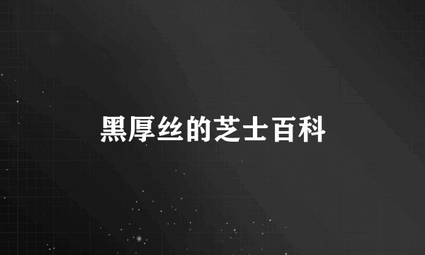 黑厚丝的芝士百科
