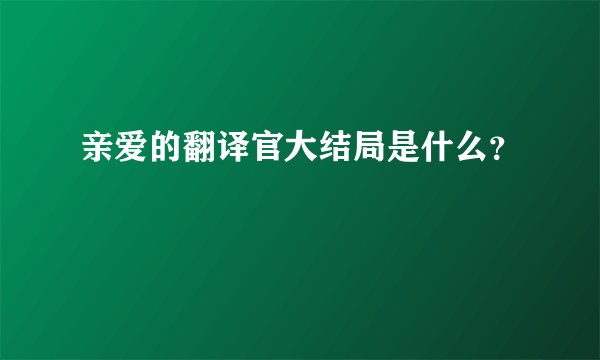 亲爱的翻译官大结局是什么？