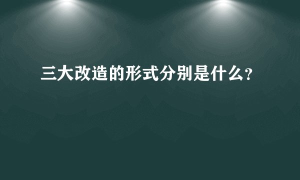 三大改造的形式分别是什么？