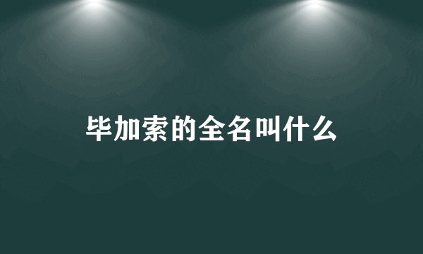 毕加索的全名叫什么