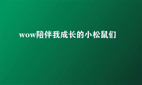 wow陪伴我成长的小松鼠们