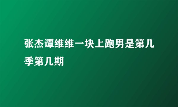 张杰谭维维一块上跑男是第几季第几期