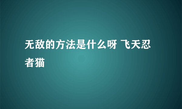 无敌的方法是什么呀 飞天忍者猫