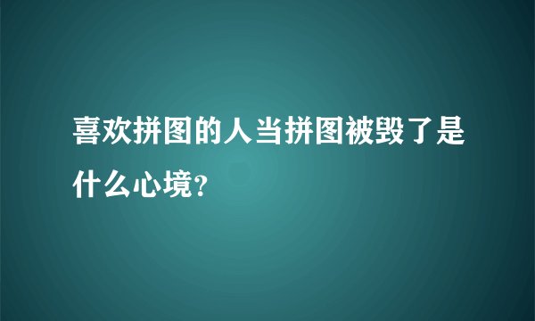 喜欢拼图的人当拼图被毁了是什么心境？