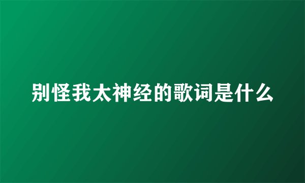 别怪我太神经的歌词是什么