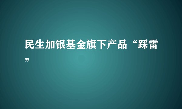 民生加银基金旗下产品“踩雷”