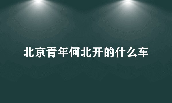 北京青年何北开的什么车