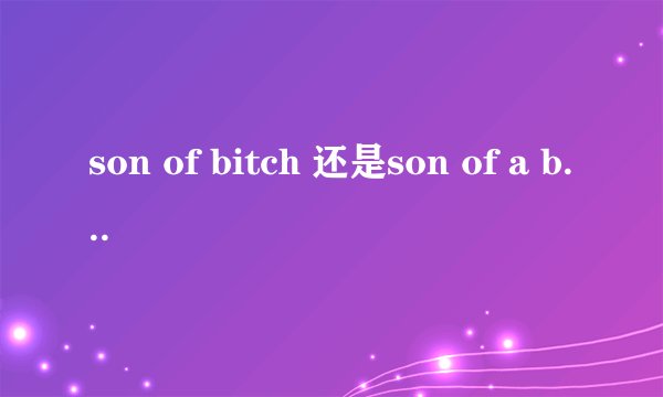 son of bitch 还是son of a bitch ?口语里是不是都可以啊?