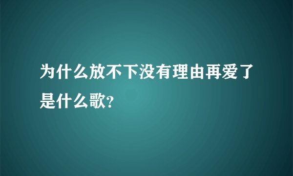 为什么放不下没有理由再爱了是什么歌?