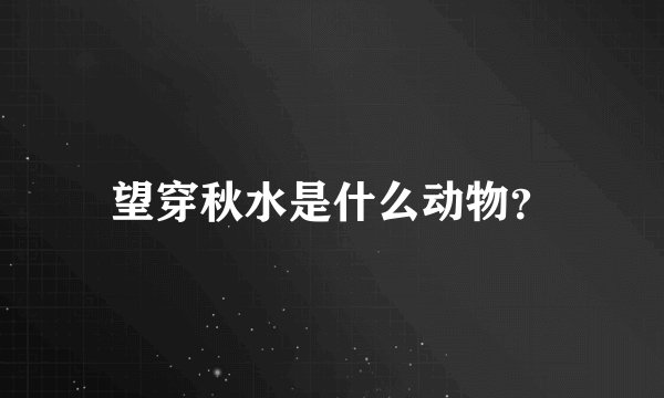 望穿秋水是什么动物？