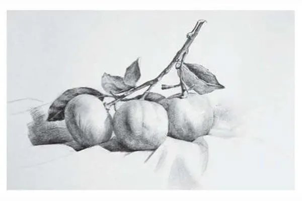 素描静物作画步骤图,有图的,有步骤的