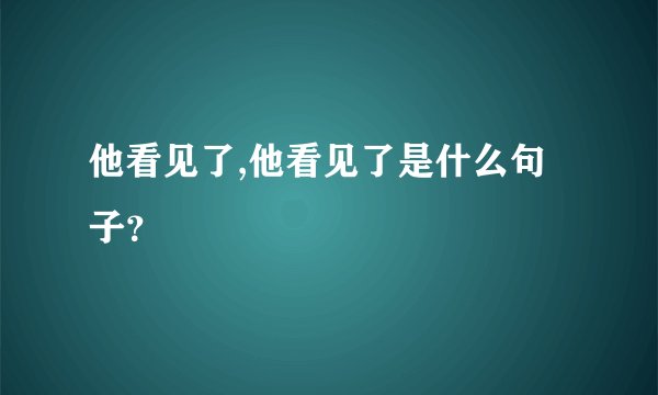 他看见了,他看见了是什么句子？