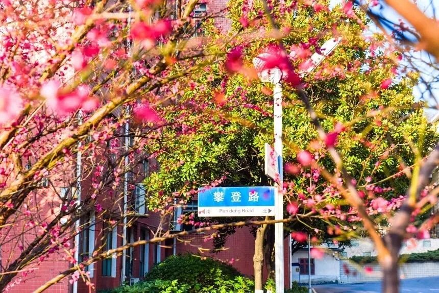 湖南师大附中