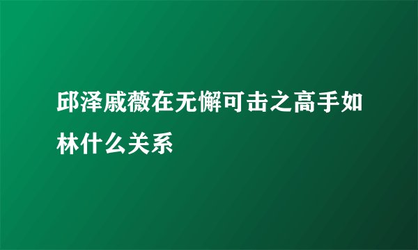 邱泽戚薇在无懈可击之高手如林什么关系