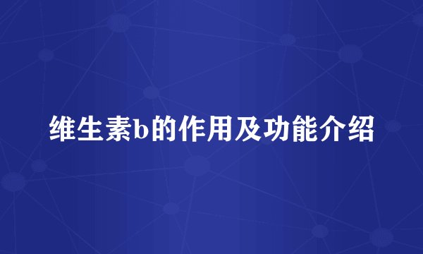 维生素b的作用及功能介绍