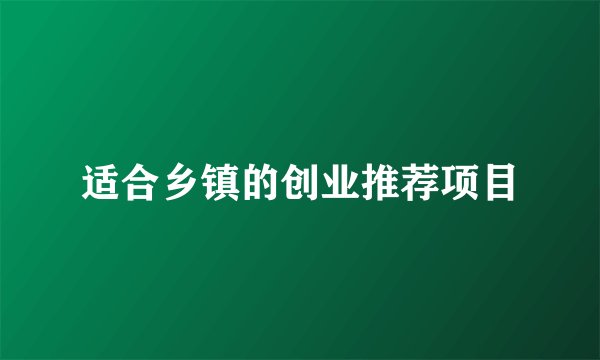 适合乡镇的创业推荐项目