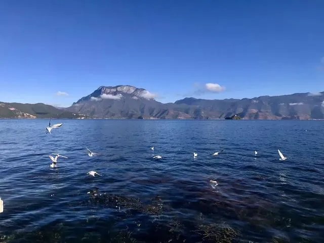 香格里拉和泸沽湖哪个更值得去?