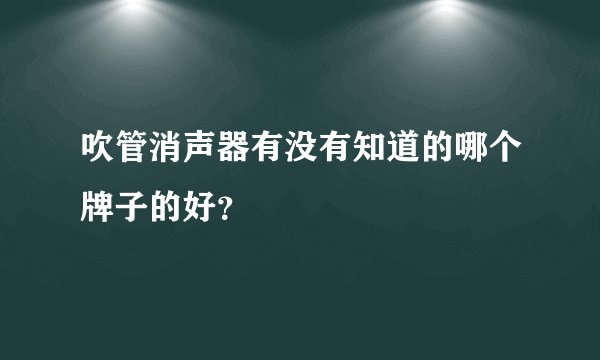 吹管消声器有没有知道的哪个牌子的好？