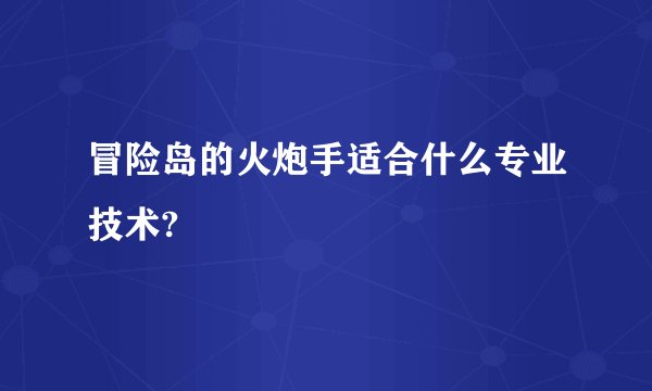 冒险岛的火炮手适合什么专业技术?