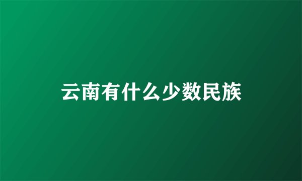 云南有什么少数民族