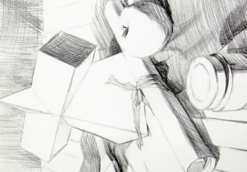 素描静物作画步骤图,有图的,有步骤的