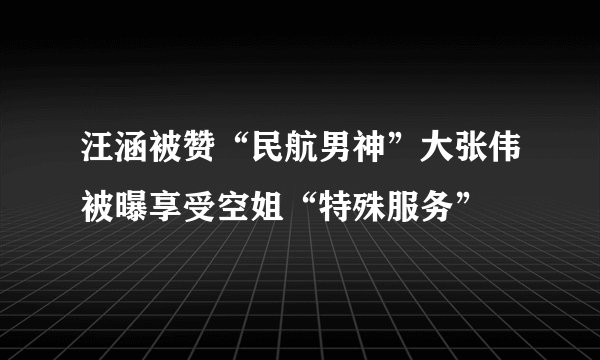汪涵被赞“民航男神”大张伟被曝享受空姐“特殊服务”