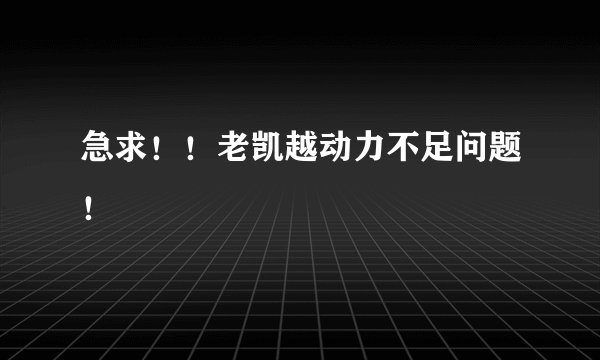 急求！！老凯越动力不足问题！