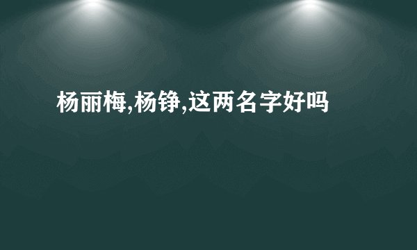 杨丽梅,杨铮,这两名字好吗