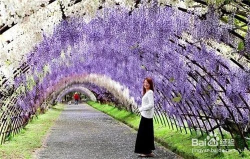 全球八大令人惊叹的隧道,中国郭亮隧道排名第一