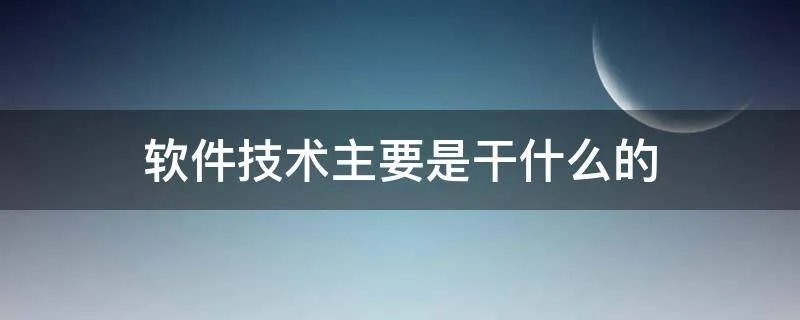 软件技术主要是干什么的