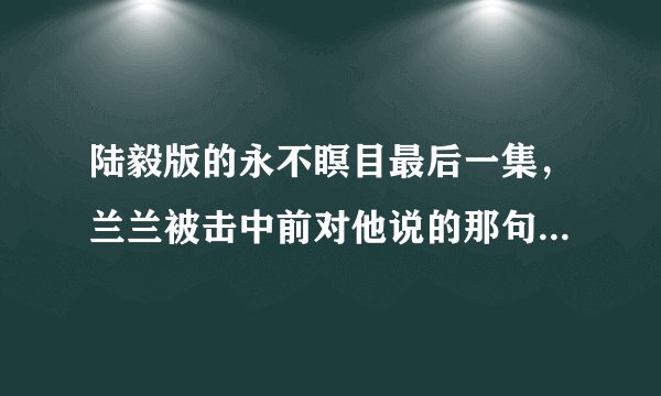 陆毅版的永不瞑目最后一集,兰兰被击中前对他说的那句话是什么?