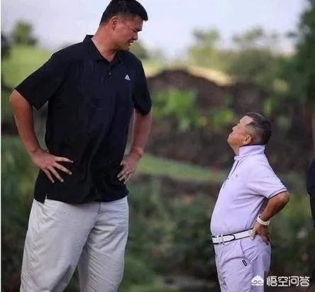 你觉得NBA球星和姚明一起合影会是什么效果?