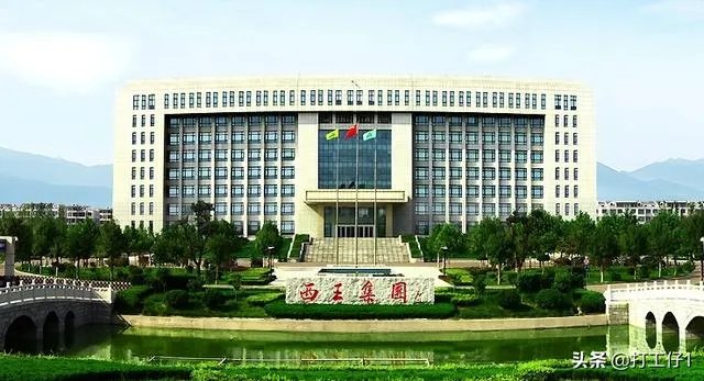 山东的西王村,到底有多富?
