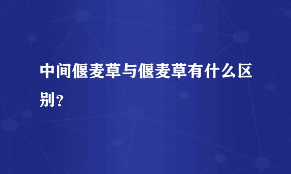 中间偃麦草与偃麦草有什么区别？