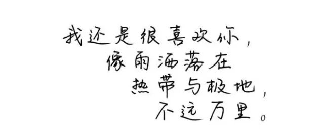 网络个性签名 网络个性签名大全