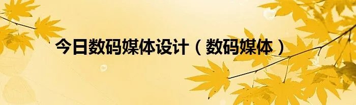 今日数码媒体设计（数码媒体）