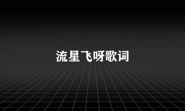 流星飞呀歌词