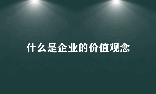 什么是企业的价值观念
