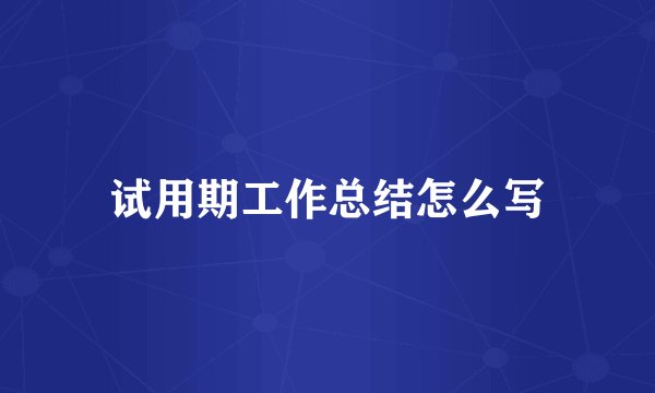 试用期工作总结怎么写