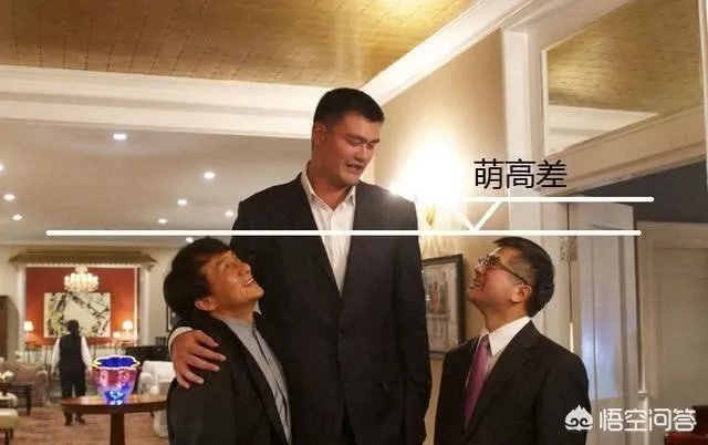你觉得NBA球星和姚明一起合影会是什么效果?